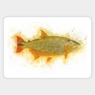 Golden DORADO River Monster Watercolor Art for the Fishing Lovers and Anglers Sticker